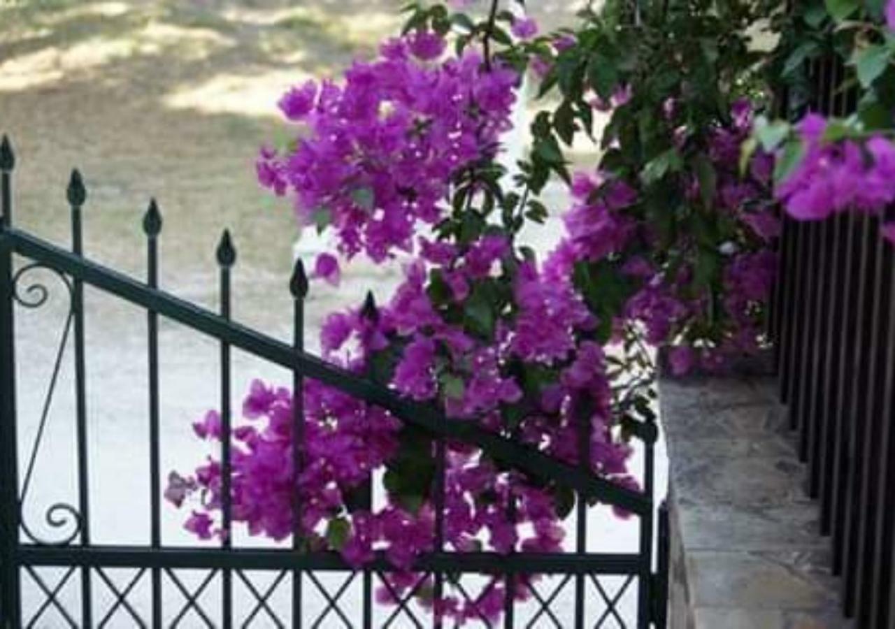 Vokamvilia Apartment & Studio Close To The Sea Planos  Bagian luar foto
